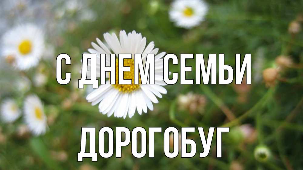 Открытка на каждый день з підписом, Дорогобуг С днем семьи с днем семьи Прикольна листівка з побажанням онлайн скачати безкоштовно 