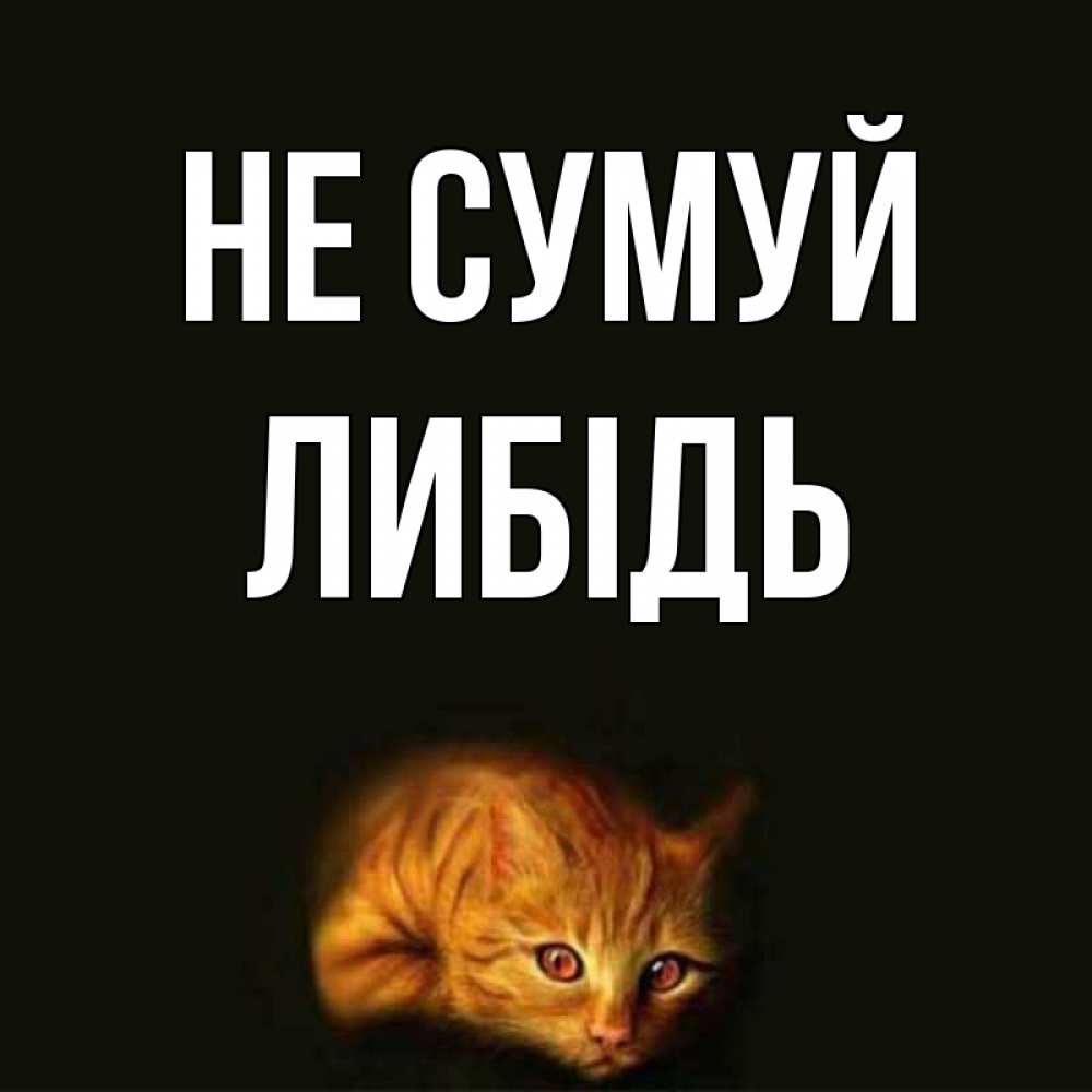 Открытка на каждый день з підписом, Либідь Не сумуй лежащий кот в темноте Прикольна листівка з побажанням онлайн скачати безкоштовно 