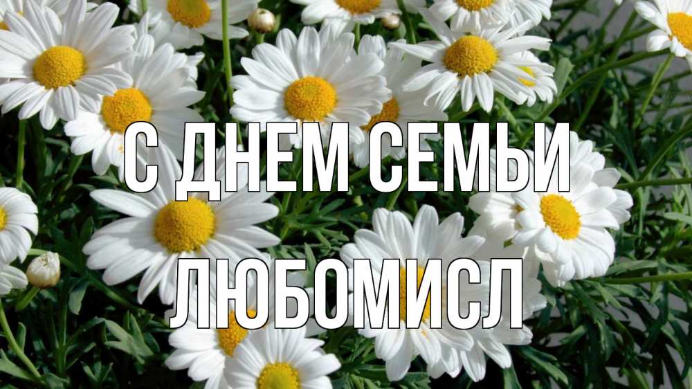 Открытка на каждый день з підписом, Любомисл С днем семьи с днем семьи Прикольна листівка з побажанням онлайн скачати безкоштовно 