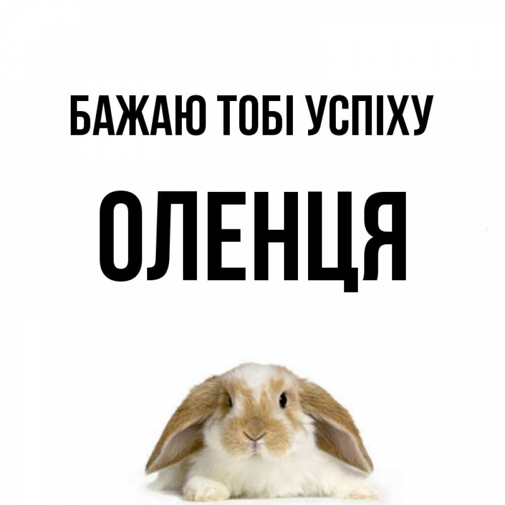 Открытка на каждый день з підписом, Оленця Бажаю тобі успіху открытки с произвольным текстом который можно вставить в открытку и создать ее самостоятельно бесплатно онлайн Прикольна листівка з побажанням онлайн скачати безкоштовно 