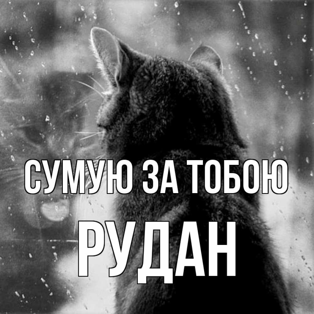 Открытка на каждый день з підписом, Рудан Сумую за тобою скорее ко мне приходи 1 Прикольна листівка з побажанням онлайн скачати безкоштовно 