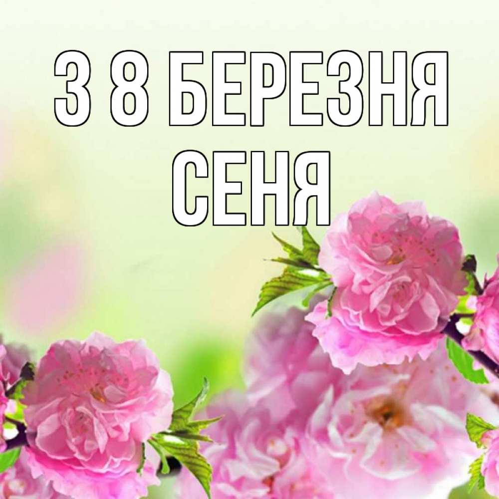 Открытка на каждый день з підписом, Сеня З 8 БЕРЕЗНЯ цветы Прикольна листівка з побажанням онлайн скачати безкоштовно 