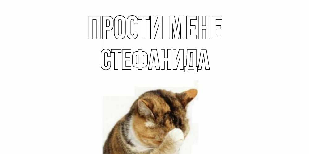 Открытка на каждый день з підписом, Стефанида Прости мене кот Прикольна листівка з побажанням онлайн скачати безкоштовно 