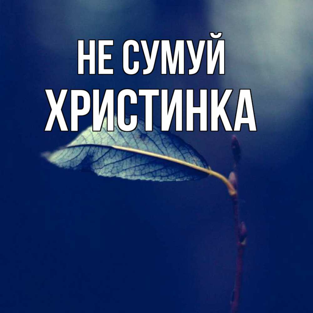Открытка на каждый день з підписом, Христинка Не сумуй растение Прикольна листівка з побажанням онлайн скачати безкоштовно 