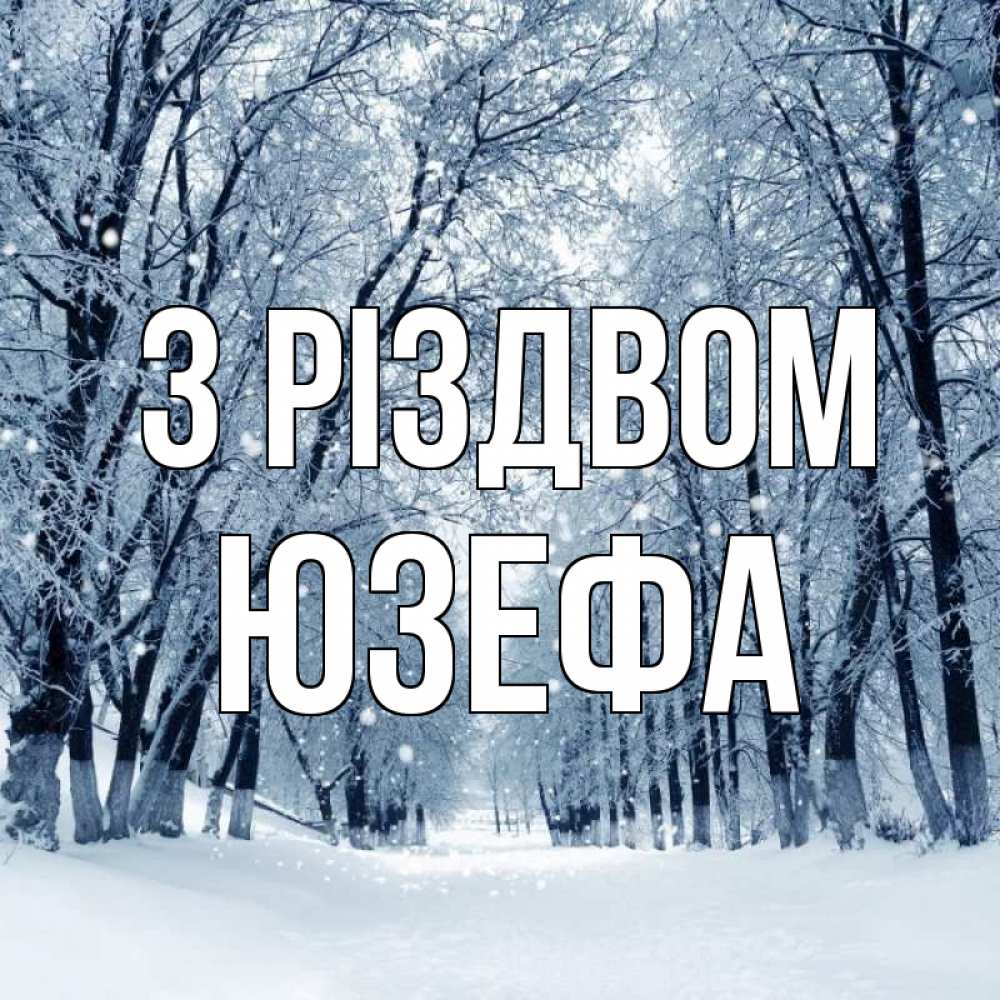 Открытка на каждый день з підписом, Юзефа З Різдвом снег, лес, парк Прикольна листівка з побажанням онлайн скачати безкоштовно 