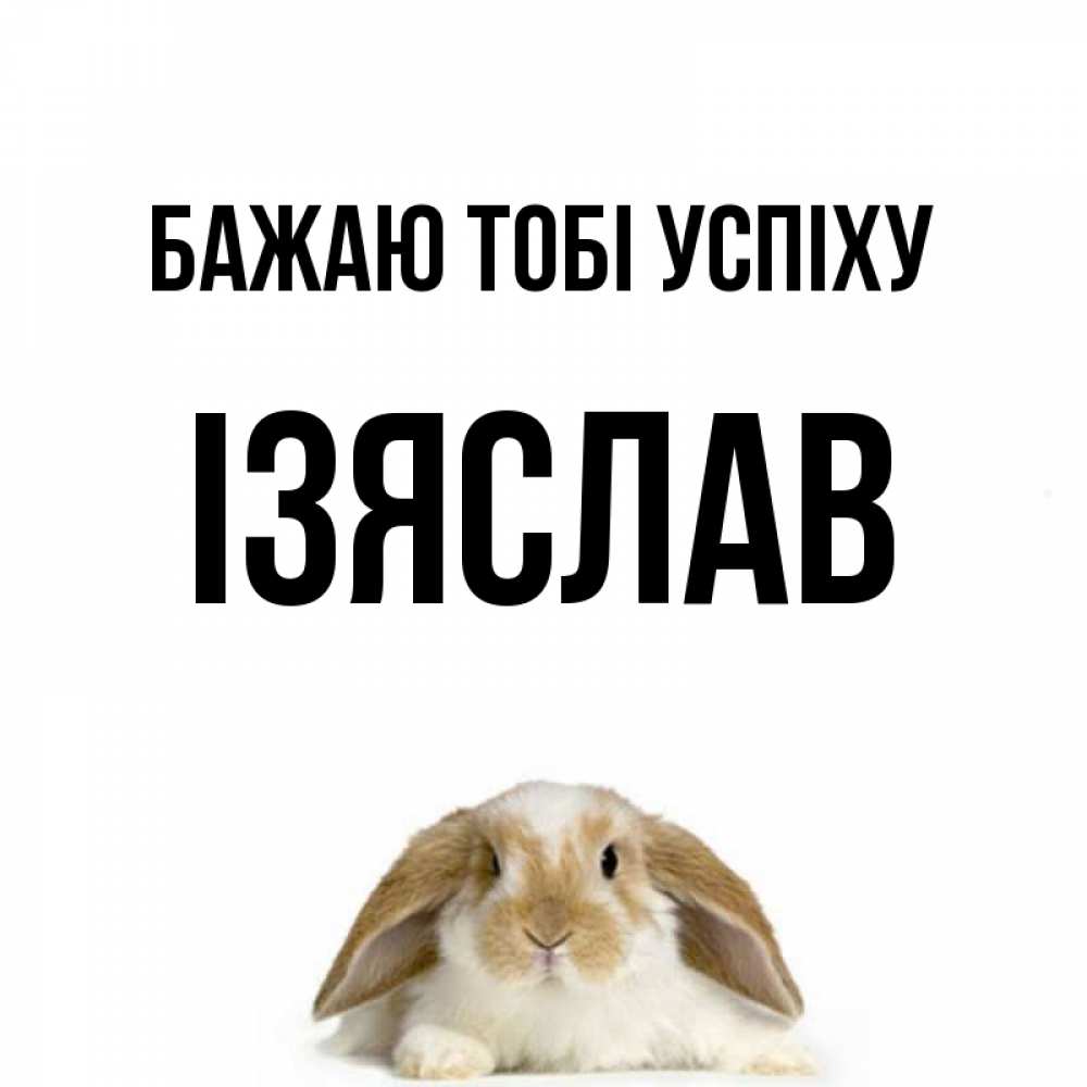 Открытка на каждый день з підписом, Ізяслав Бажаю тобі успіху открытки с произвольным текстом который можно вставить в открытку и создать ее самостоятельно бесплатно онлайн Прикольна листівка з побажанням онлайн скачати безкоштовно 