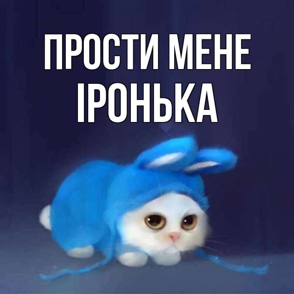 Открытка на каждый день з підписом, Іронька Прости мене невинный котозай просит прощения Прикольна листівка з побажанням онлайн скачати безкоштовно 