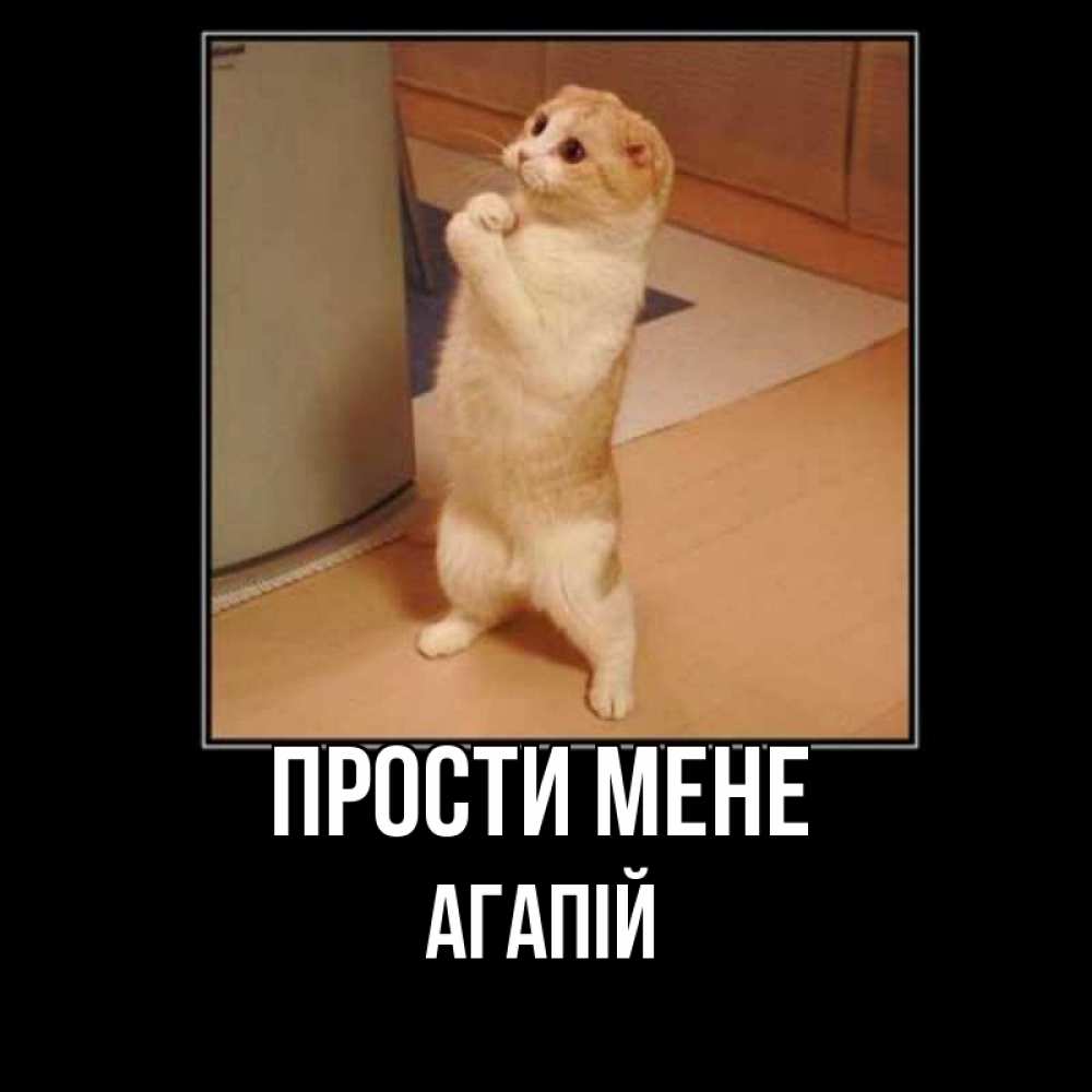 Открытка на каждый день з підписом, Агапій Прости мене открытка с милым несчастным котиком просящим прощения Прикольна листівка з побажанням онлайн скачати безкоштовно 