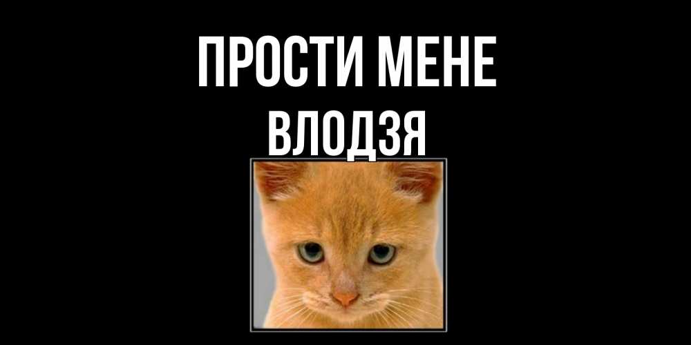 Открытка на каждый день з підписом, Влодзя Прости мене рыжий грустный кот просит прощения Прикольна листівка з побажанням онлайн скачати безкоштовно 