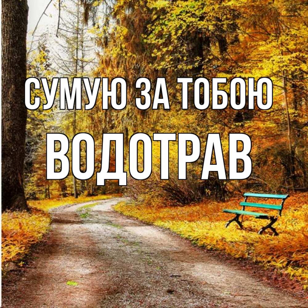 Открытка на каждый день з підписом, Водотрав Сумую за тобою зеленая лавочка и осенний лес Прикольна листівка з побажанням онлайн скачати безкоштовно 
