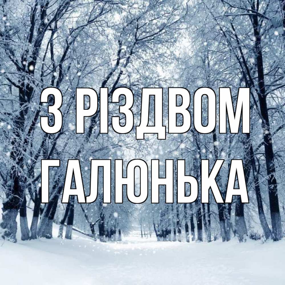 Открытка на каждый день з підписом, Галюнька З Різдвом снег, лес, парк Прикольна листівка з побажанням онлайн скачати безкоштовно 
