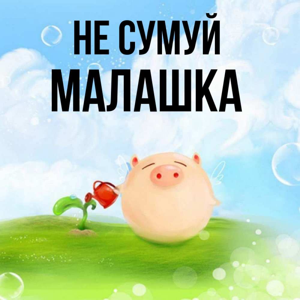 Открытка на каждый день з підписом, Малашка Не сумуй поливает цветок порося Прикольна листівка з побажанням онлайн скачати безкоштовно 