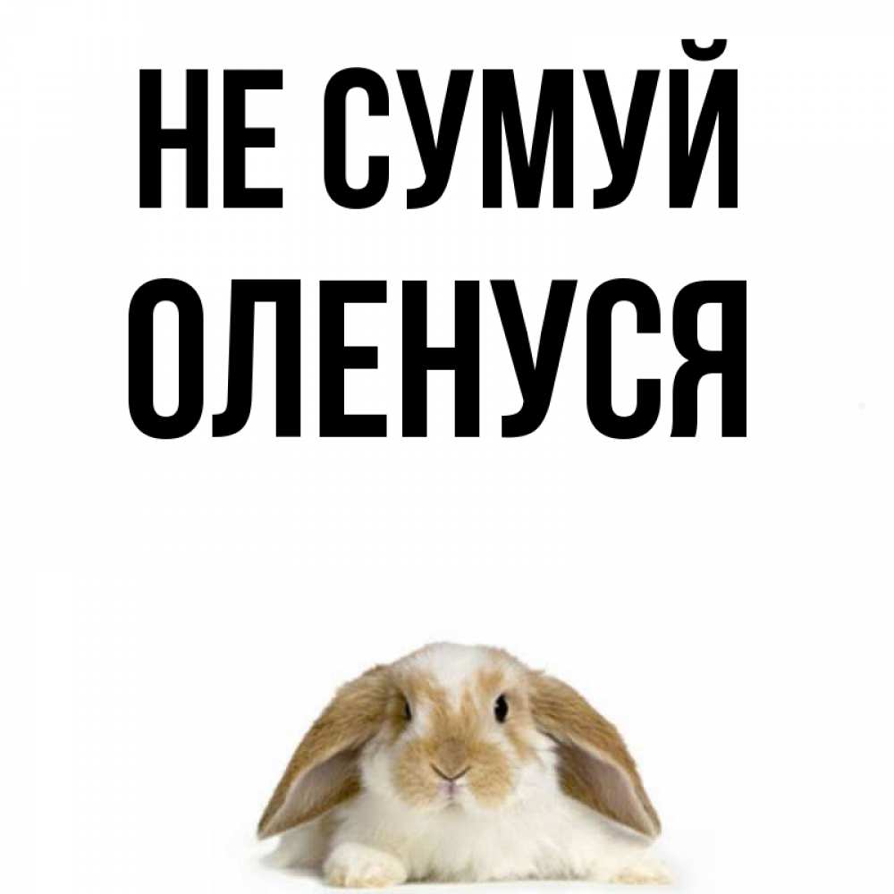 Открытка на каждый день з підписом, Оленуся Не сумуй коричнево белый заяц с большими ушками Прикольна листівка з побажанням онлайн скачати безкоштовно 