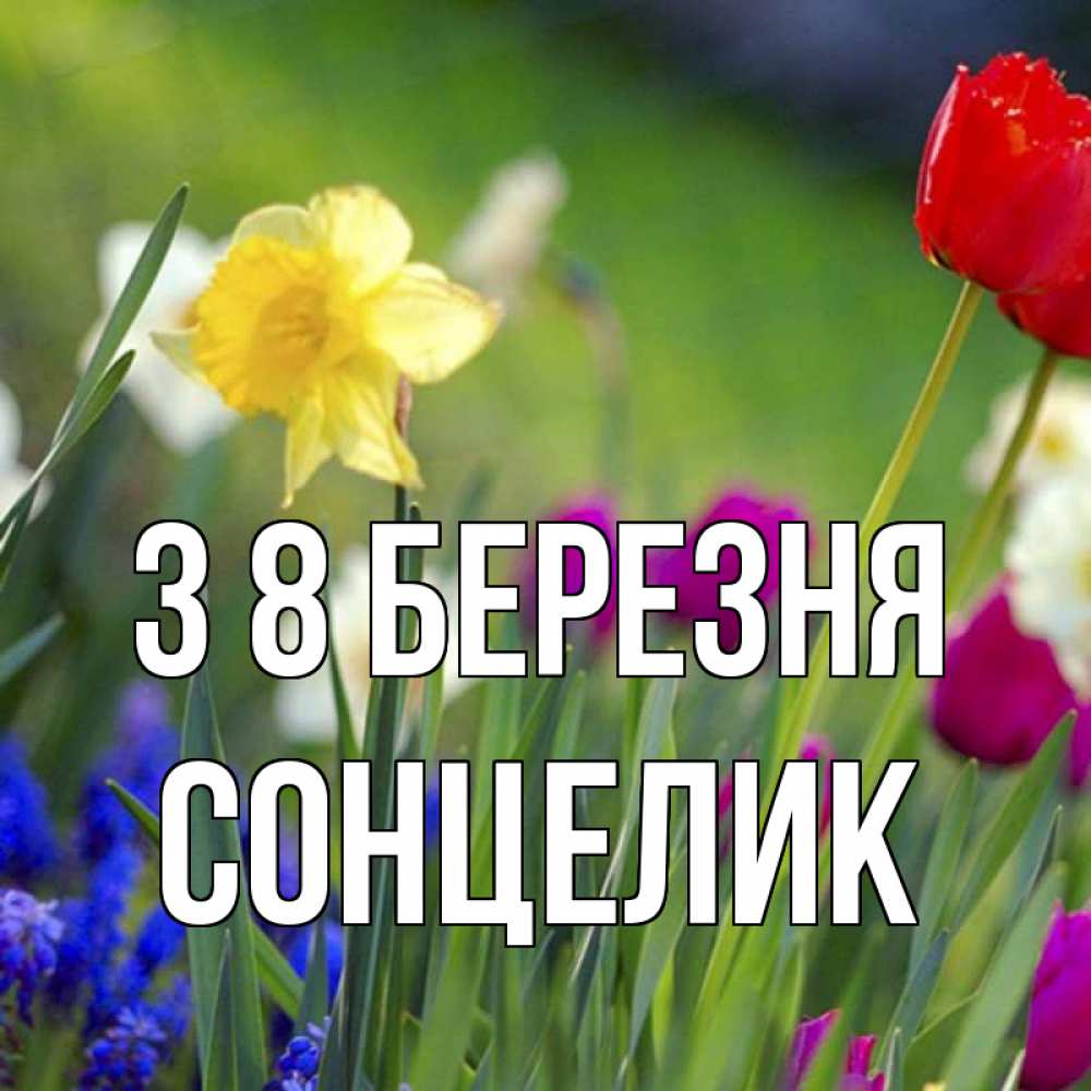 Открытка на каждый день з підписом, Сонцелик З 8 БЕРЕЗНЯ международный женский день 3 Прикольна листівка з побажанням онлайн скачати безкоштовно 