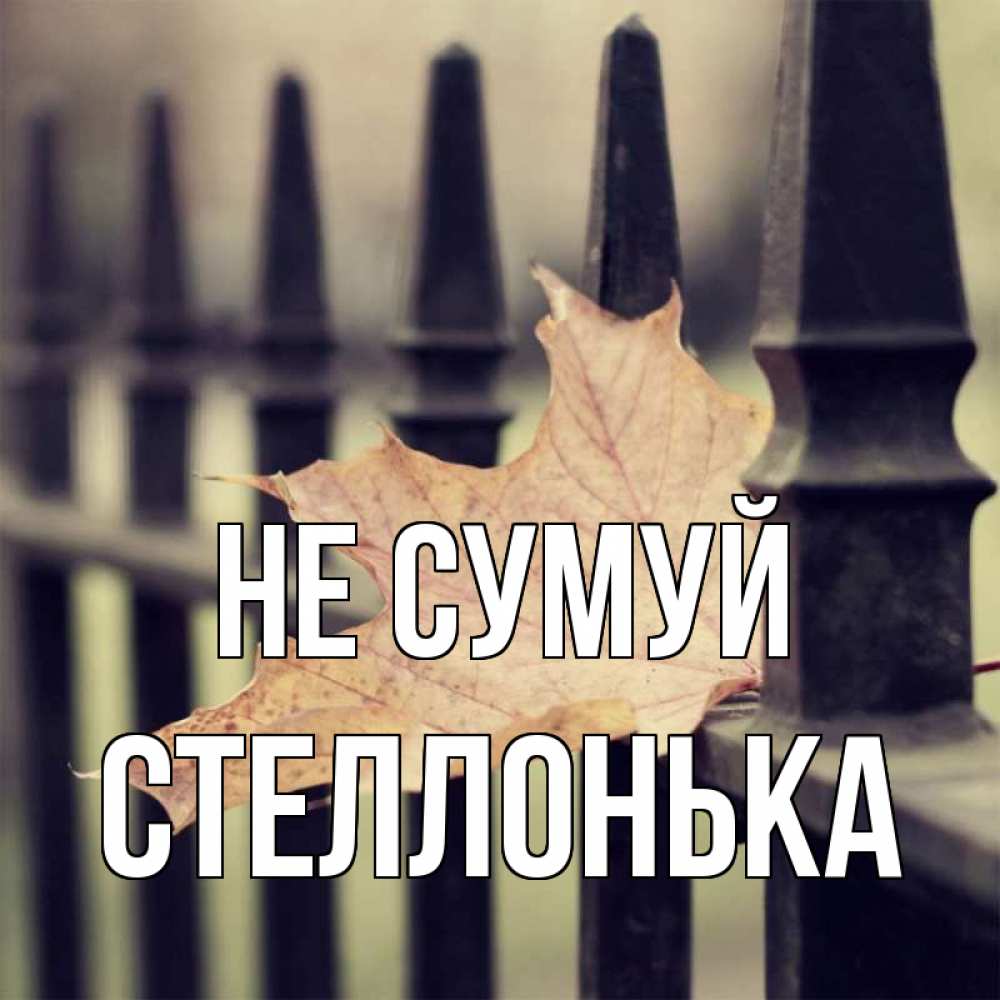 Открытка на каждый день з підписом, Стеллонька Не сумуй лист клена Прикольна листівка з побажанням онлайн скачати безкоштовно 