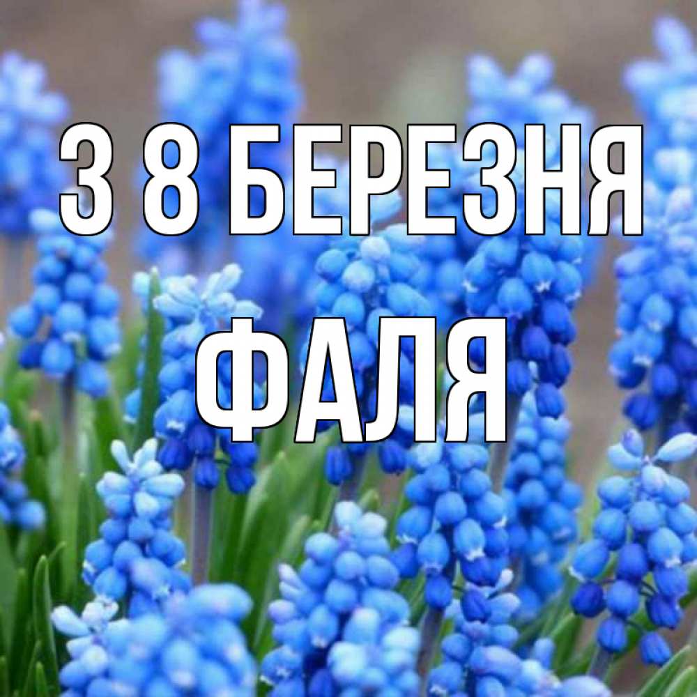 Открытка на каждый день з підписом, Фаля З 8 БЕРЕЗНЯ Поздравительная открытка для женщин с цветами на праздничную дату Прикольна листівка з побажанням онлайн скачати безкоштовно 