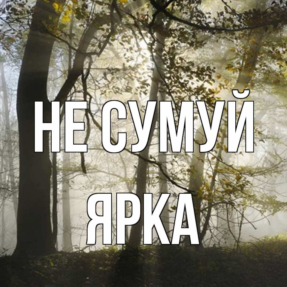 Открытка на каждый день з підписом, Ярка Не сумуй лес и свет Прикольна листівка з побажанням онлайн скачати безкоштовно 