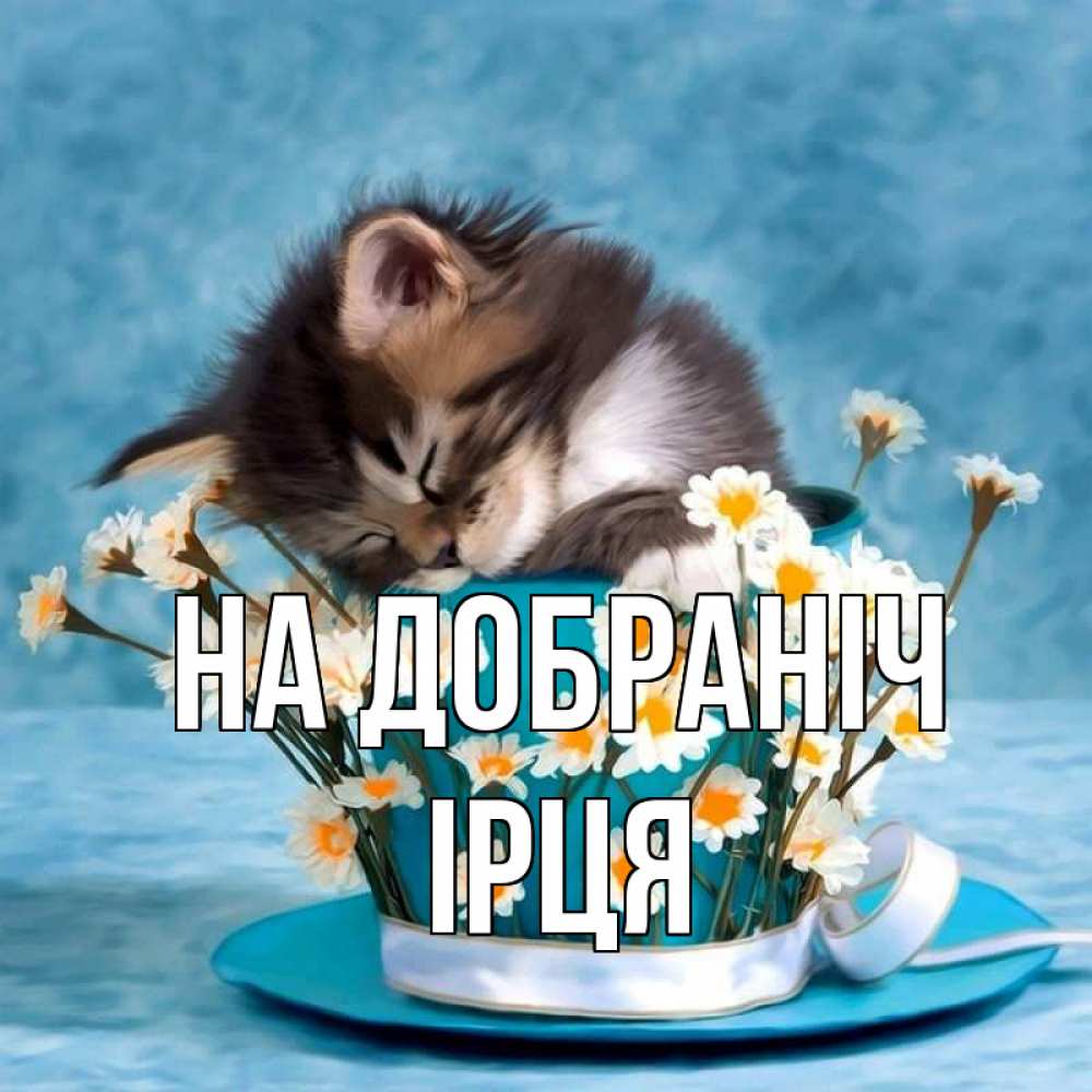 Открытка на каждый день з підписом, Ірця На добраніч котенок спит в кружке с блюдцем Прикольна листівка з побажанням онлайн скачати безкоштовно 