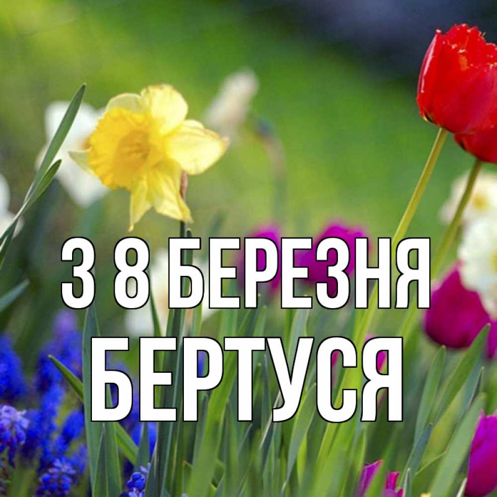 Открытка на каждый день з підписом, Бертуся З 8 БЕРЕЗНЯ международный женский день 3 Прикольна листівка з побажанням онлайн скачати безкоштовно 