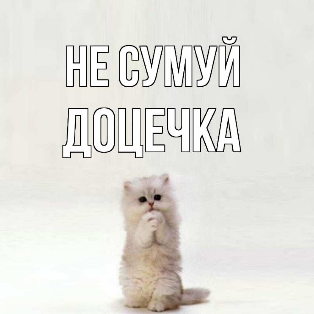 Открытка на каждый день з підписом, Доцечка Не сумуй грустный кот Прикольна листівка з побажанням онлайн скачати безкоштовно 