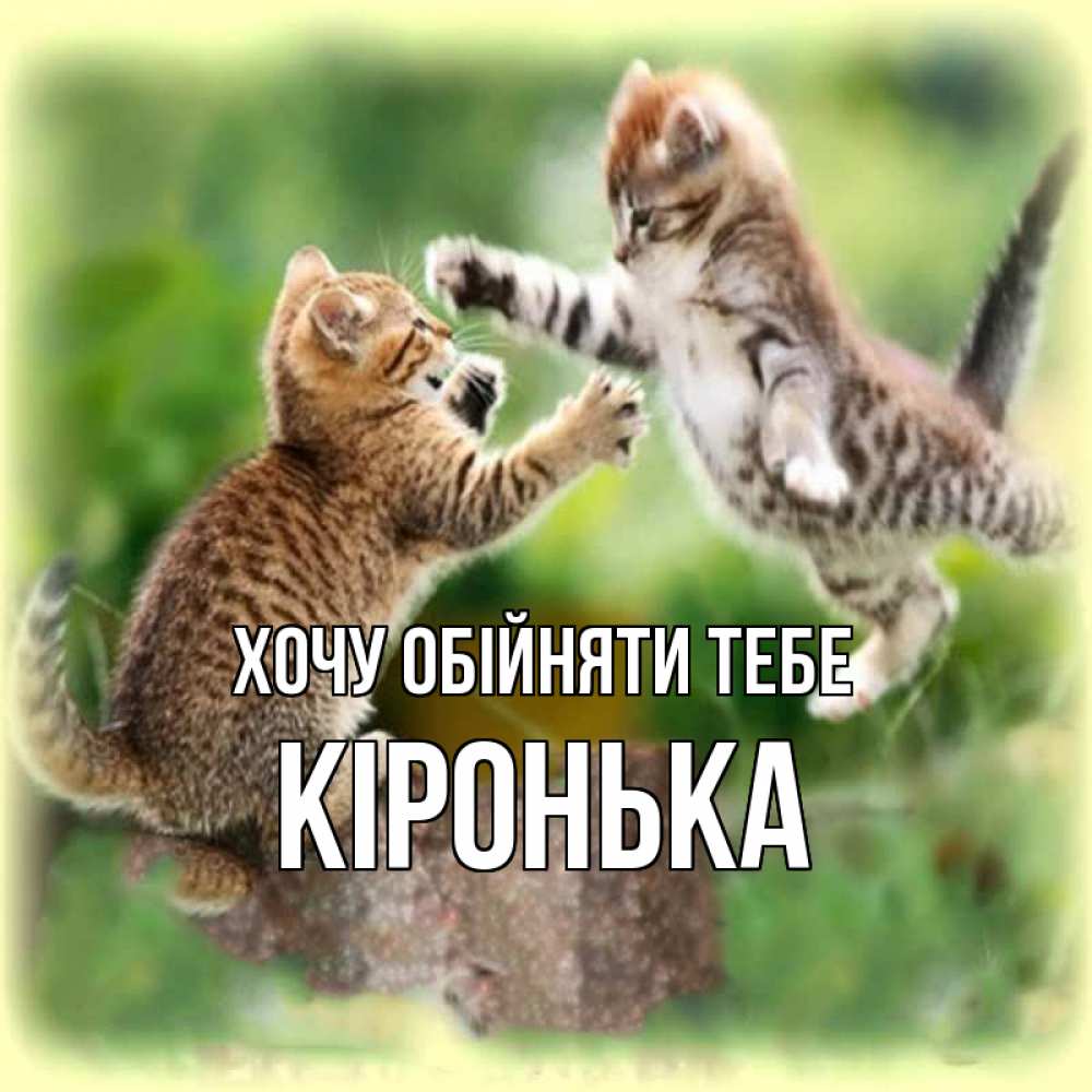 Открытка на каждый день з підписом, Кіронька Хочу обійняти тебе игры котят Прикольна листівка з побажанням онлайн скачати безкоштовно 