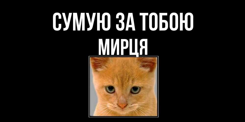 Открытка на каждый день з підписом, Мирця Сумую за тобою открытки рыжий котенок скучает по тебе Прикольна листівка з побажанням онлайн скачати безкоштовно 