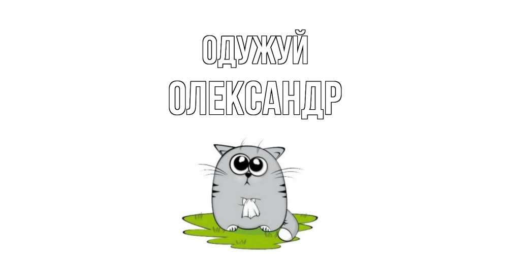 Открытка на каждый день з підписом, Олександр Одужуй кот и открытки про выздоровление Прикольна листівка з побажанням онлайн скачати безкоштовно 