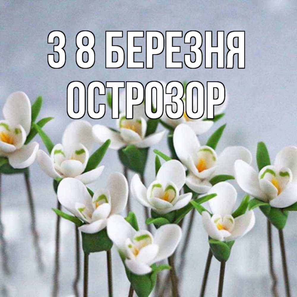 Открытка на каждый день з підписом, Острозор З 8 БЕРЕЗНЯ весенние цветы Прикольна листівка з побажанням онлайн скачати безкоштовно 
