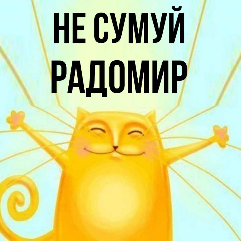 Открытка на каждый день з підписом, Радомир Не сумуй обнимашки усатые Прикольна листівка з побажанням онлайн скачати безкоштовно 