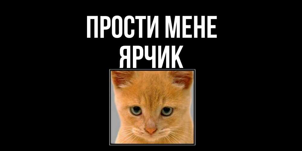 Открытка на каждый день з підписом, Ярчик Прости мене рыжий грустный кот просит прощения Прикольна листівка з побажанням онлайн скачати безкоштовно 