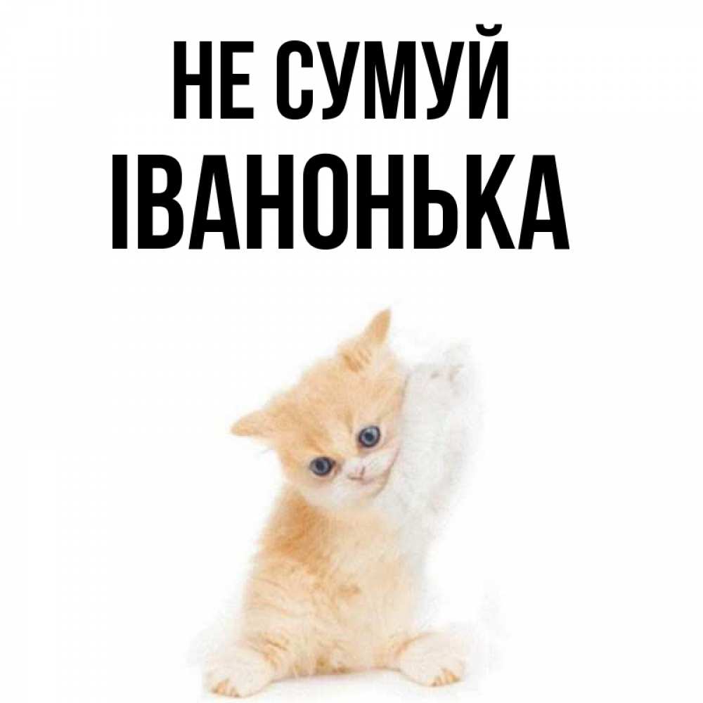 Открытка на каждый день з підписом, Іванонька Не сумуй просящий кот Прикольна листівка з побажанням онлайн скачати безкоштовно 