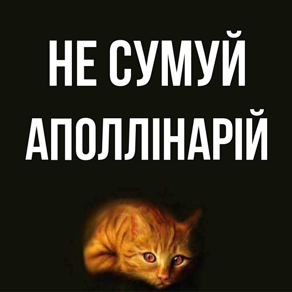 Открытка на каждый день з підписом, Аполлінарій Не сумуй лежащий кот в темноте Прикольна листівка з побажанням онлайн скачати безкоштовно 