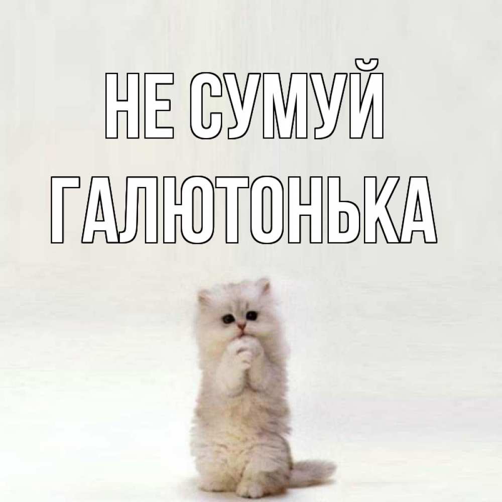 Открытка на каждый день з підписом, Галютонька Не сумуй грустный кот Прикольна листівка з побажанням онлайн скачати безкоштовно 