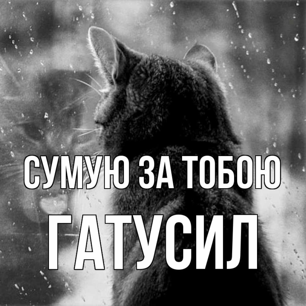 Открытка на каждый день з підписом, Гатусил Сумую за тобою скорее ко мне приходи 1 Прикольна листівка з побажанням онлайн скачати безкоштовно 
