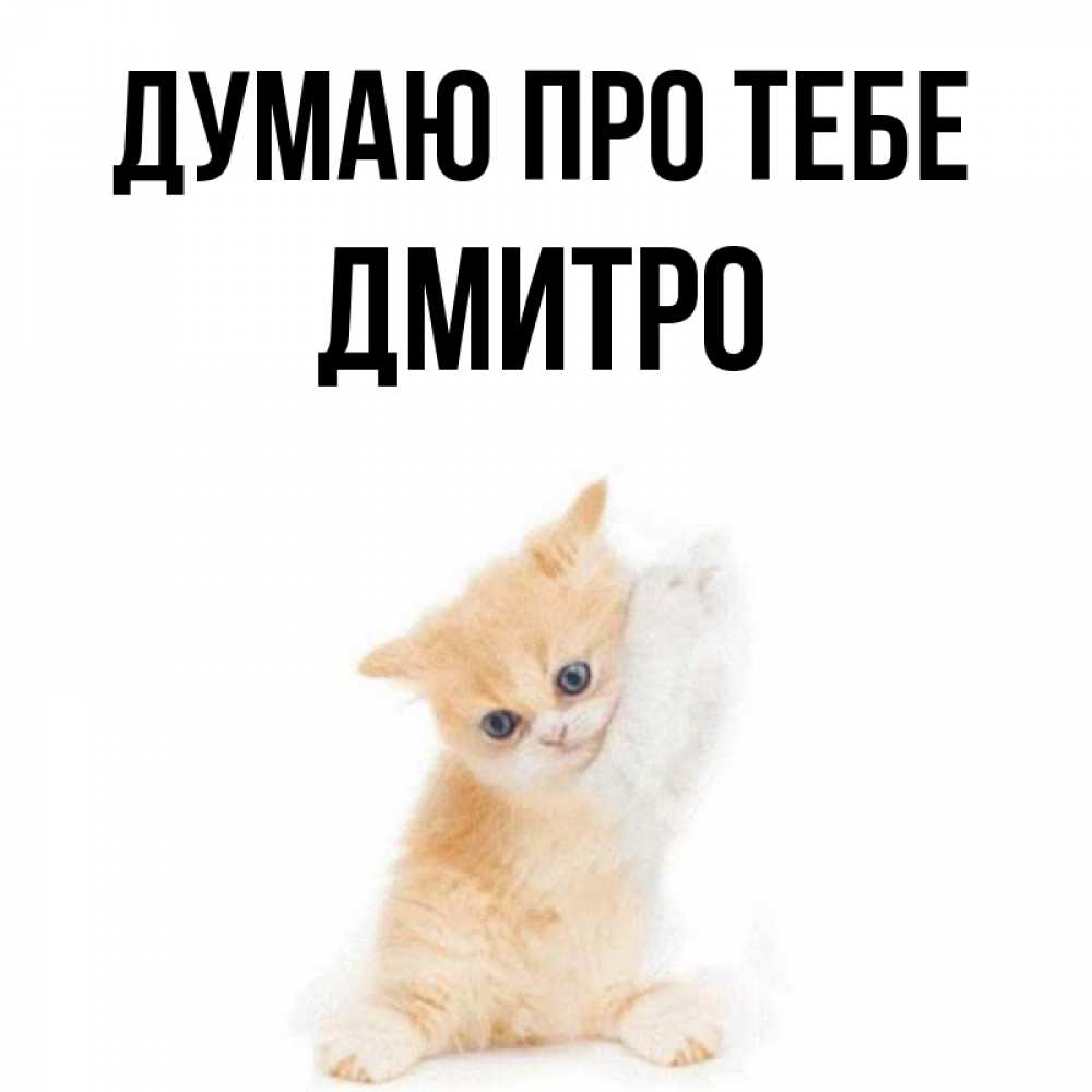 Открытка на каждый день з підписом, Дмитро Думаю про тебе зверушки и милота Прикольна листівка з побажанням онлайн скачати безкоштовно 