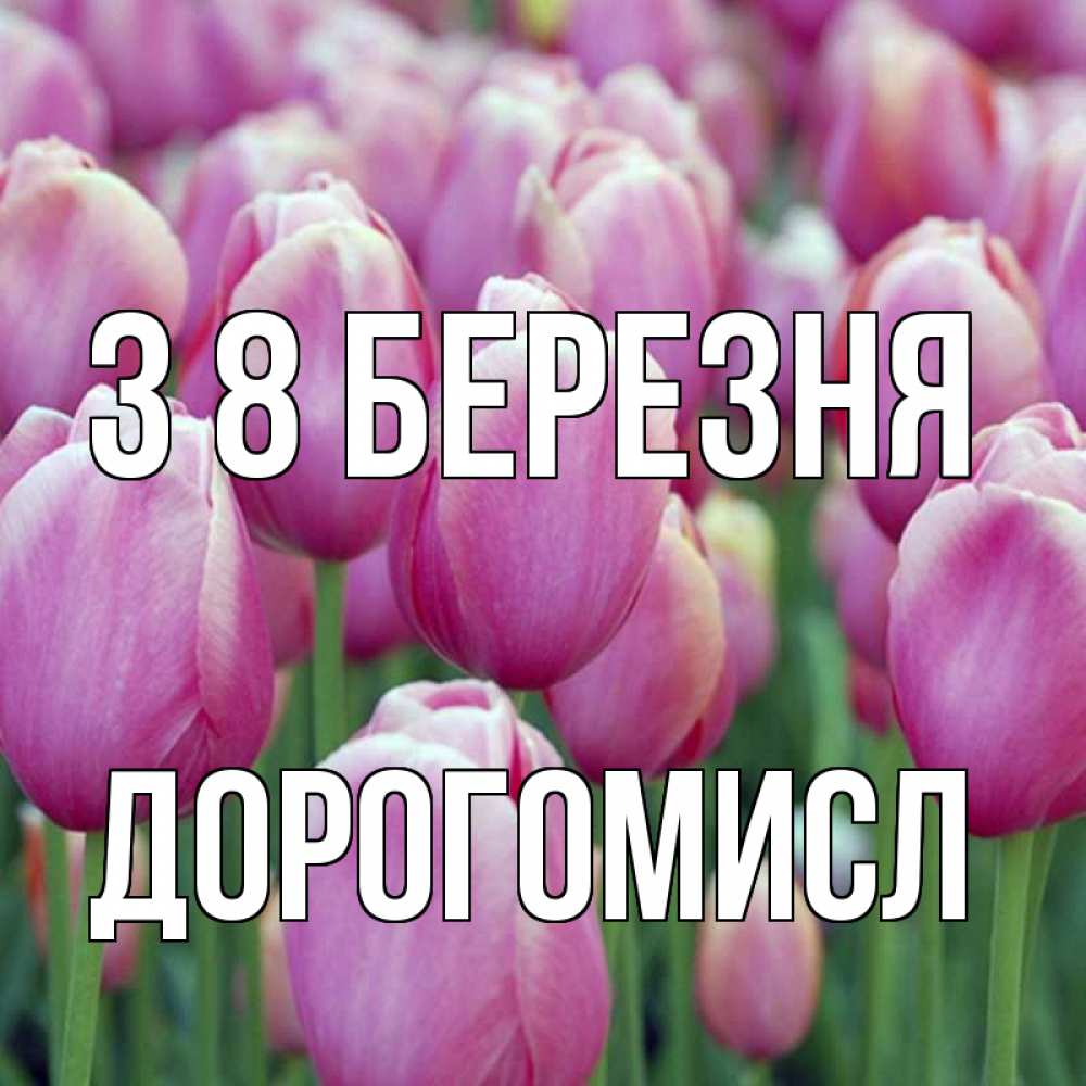 Открытка на каждый день з підписом, Дорогомисл З 8 БЕРЕЗНЯ на международный женский день 3 Прикольна листівка з побажанням онлайн скачати безкоштовно 