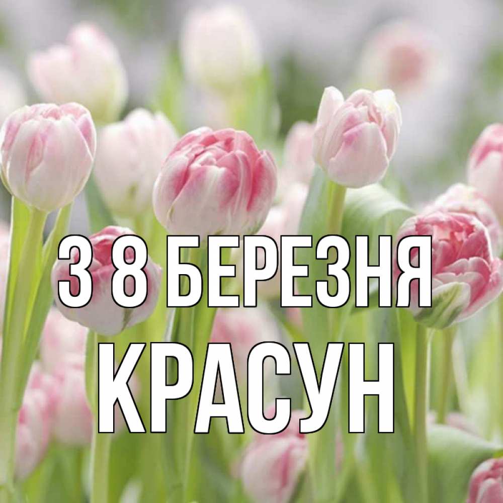 Открытка на каждый день з підписом, Красун З 8 БЕРЕЗНЯ цветы Прикольна листівка з побажанням онлайн скачати безкоштовно 