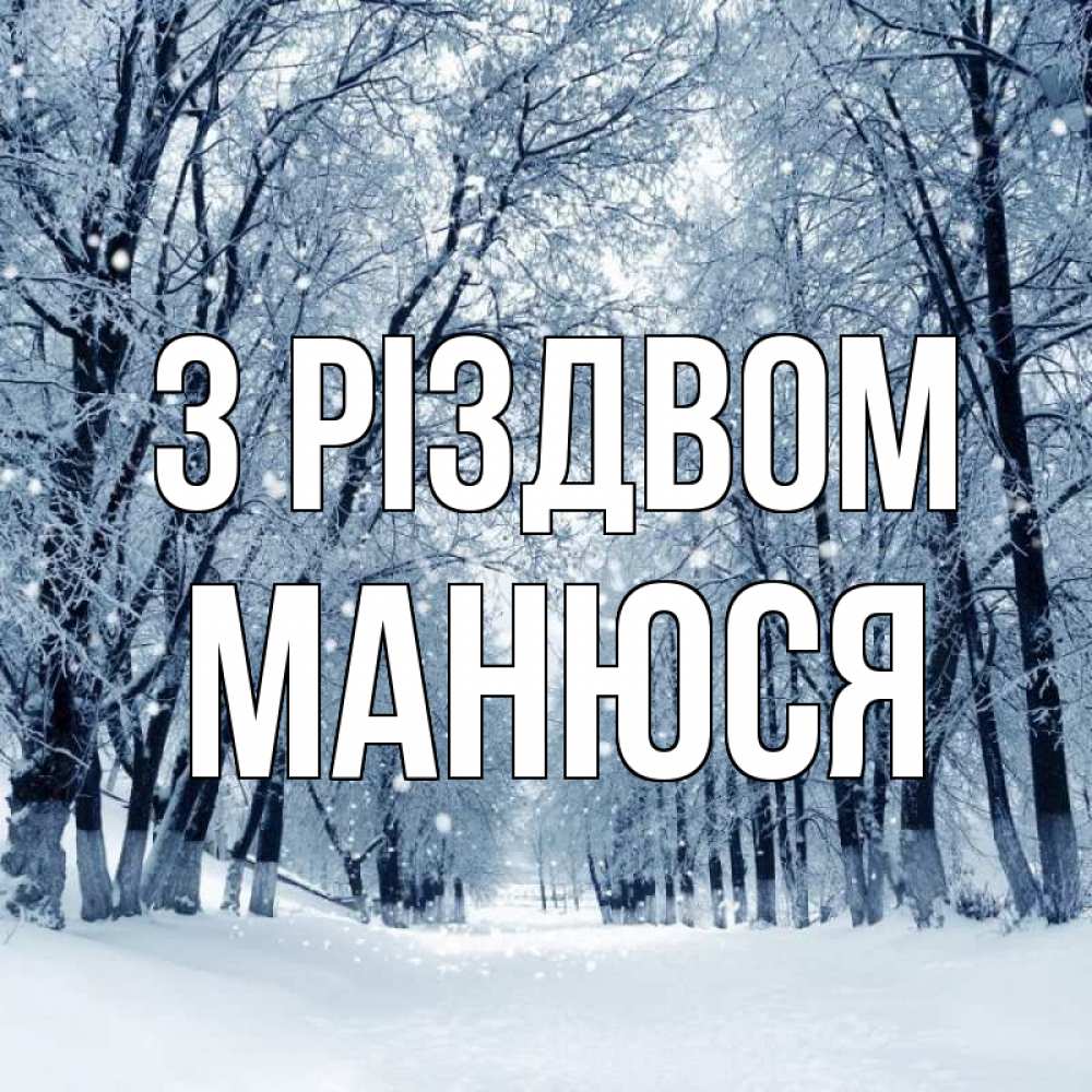Открытка на каждый день з підписом, Манюся З Різдвом снег, лес, парк Прикольна листівка з побажанням онлайн скачати безкоштовно 