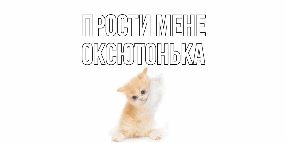 Открытка на каждый день з підписом, Оксютонька Прости мене кот Прикольна листівка з побажанням онлайн скачати безкоштовно 