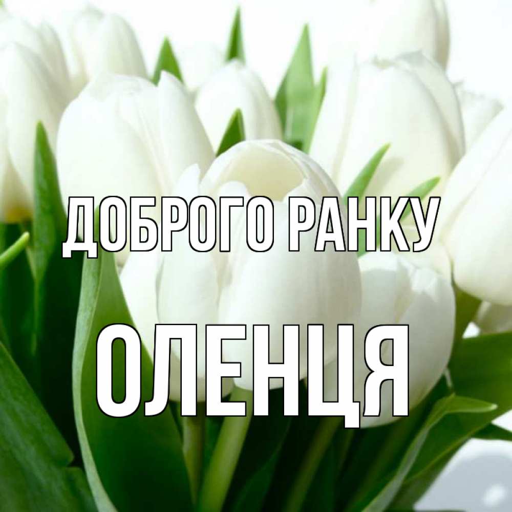 Открытка на каждый день з підписом, Оленця Доброго ранку открытки на каждый день по именам Прикольна листівка з побажанням онлайн скачати безкоштовно 