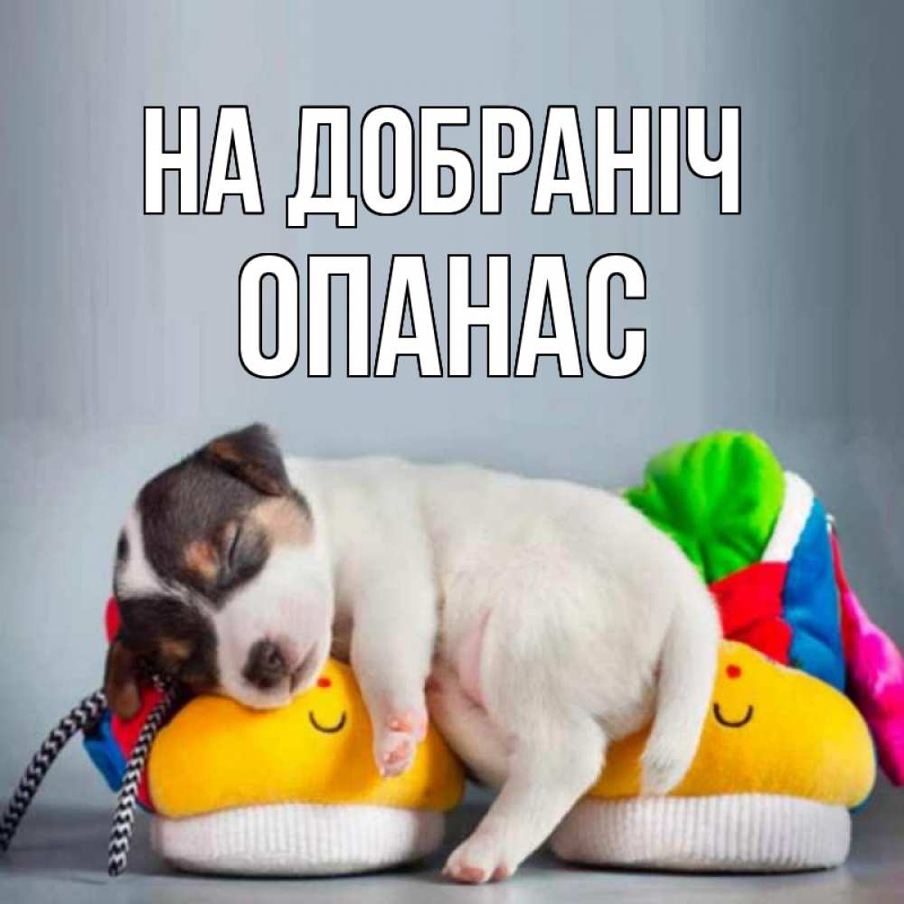 Открытка на каждый день з підписом, Опанас На добраніч собачка Прикольна листівка з побажанням онлайн скачати безкоштовно 