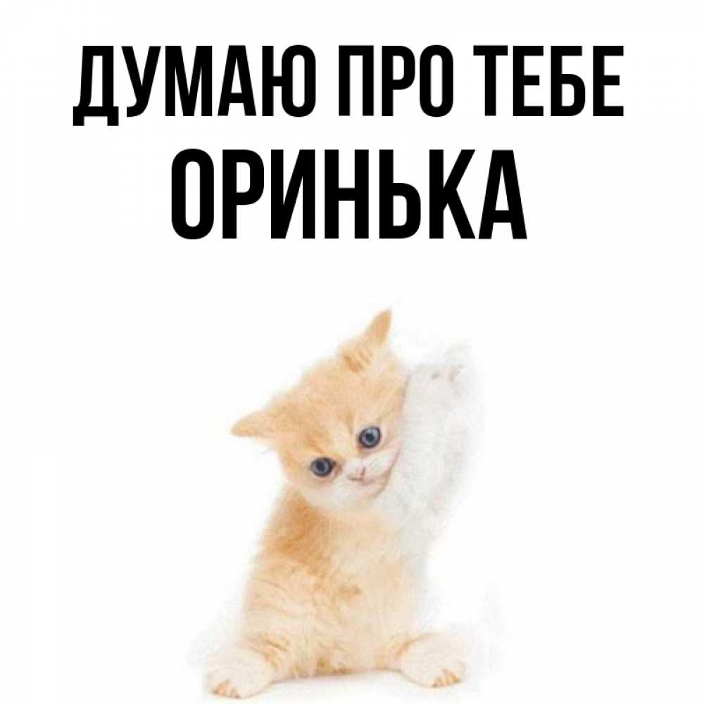 Открытка на каждый день з підписом, Оринька Думаю про тебе зверушки и милота Прикольна листівка з побажанням онлайн скачати безкоштовно 