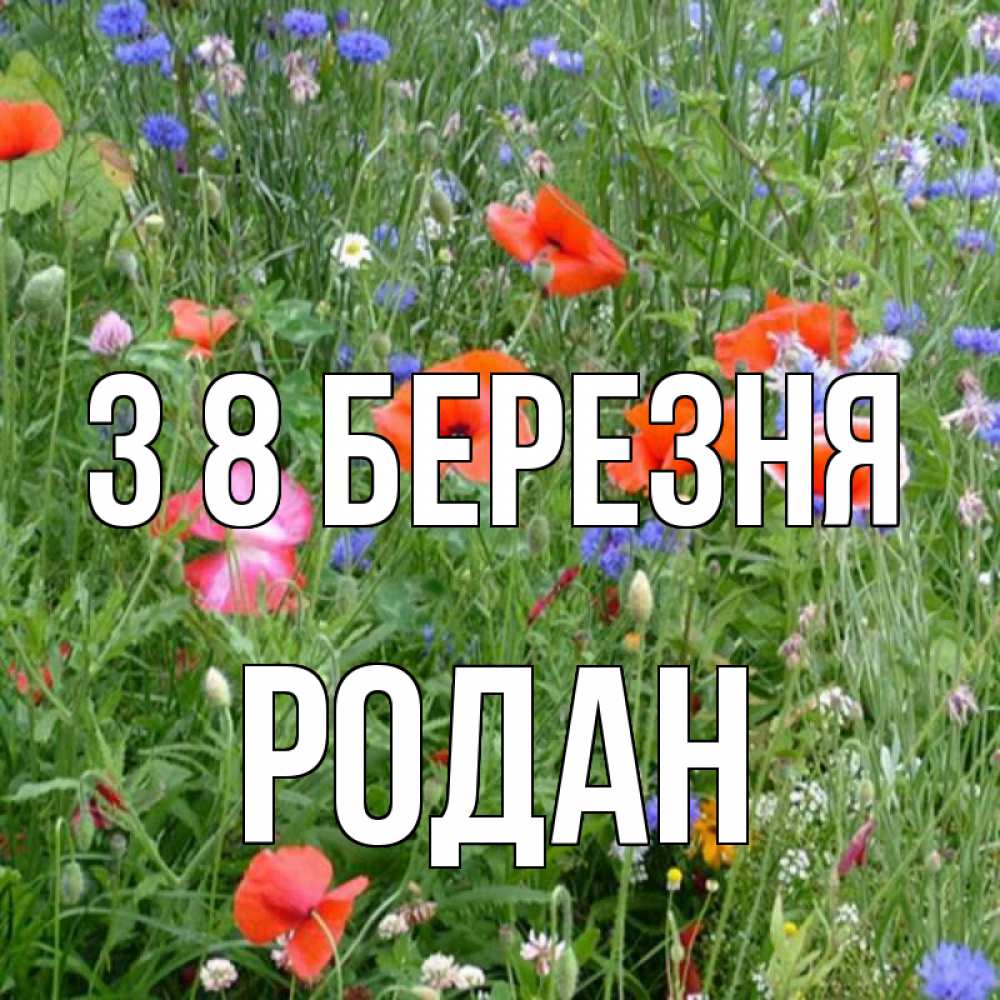 Открытка на каждый день з підписом, Родан З 8 БЕРЕЗНЯ международный женский день 4 Прикольна листівка з побажанням онлайн скачати безкоштовно 