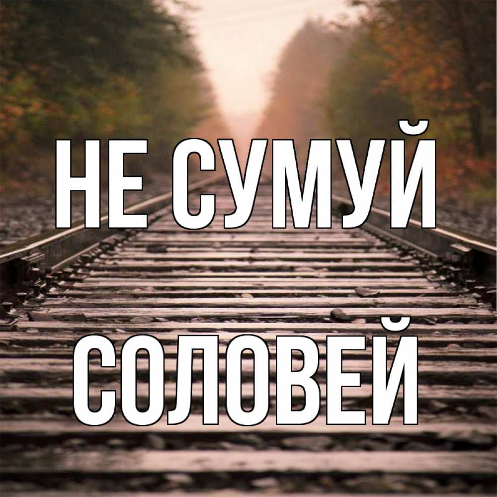 Открытка на каждый день з підписом, Соловей Не сумуй лес и железная дорога Прикольна листівка з побажанням онлайн скачати безкоштовно 
