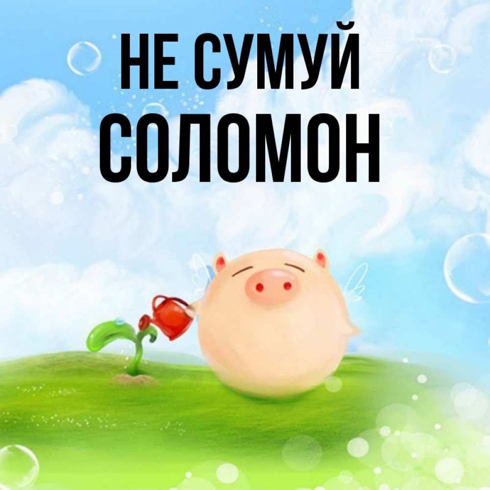 Открытка на каждый день з підписом, Соломон Не сумуй поливает цветок порося Прикольна листівка з побажанням онлайн скачати безкоштовно 