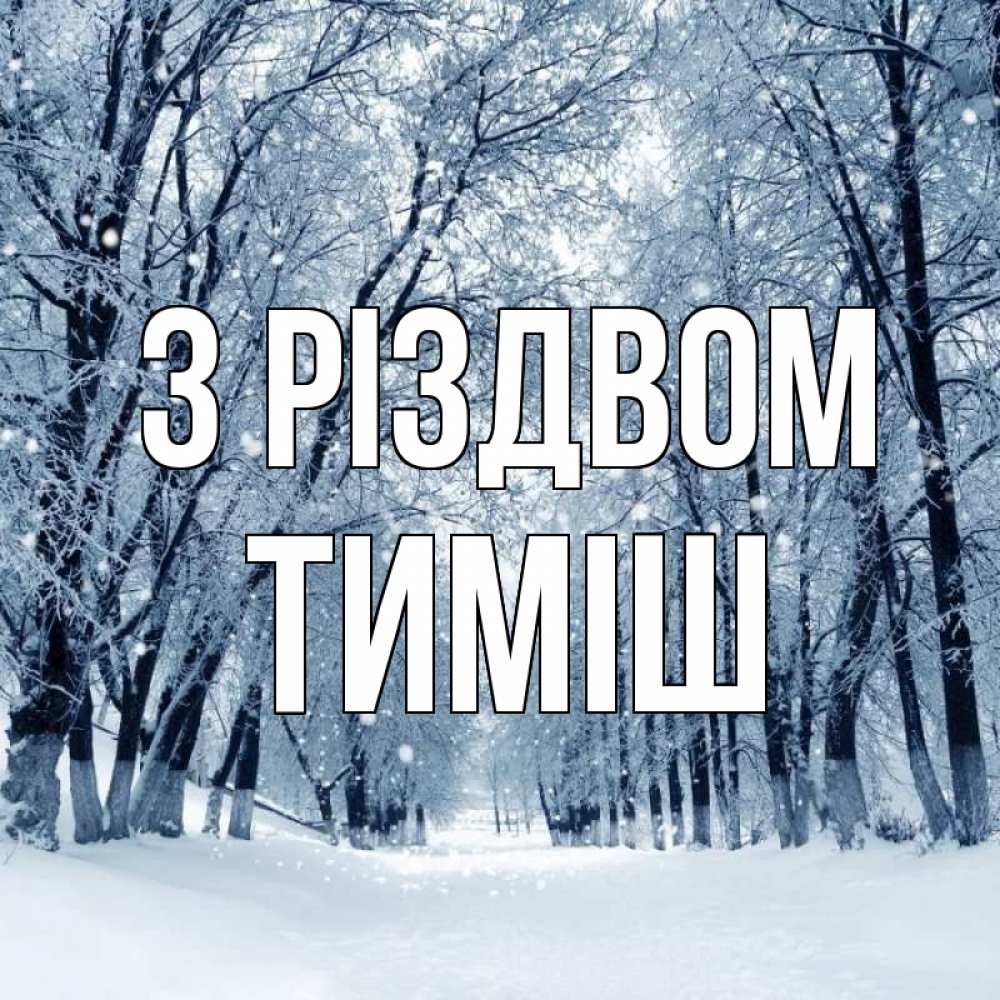 Открытка на каждый день з підписом, Тиміш З Різдвом снег, лес, парк Прикольна листівка з побажанням онлайн скачати безкоштовно 