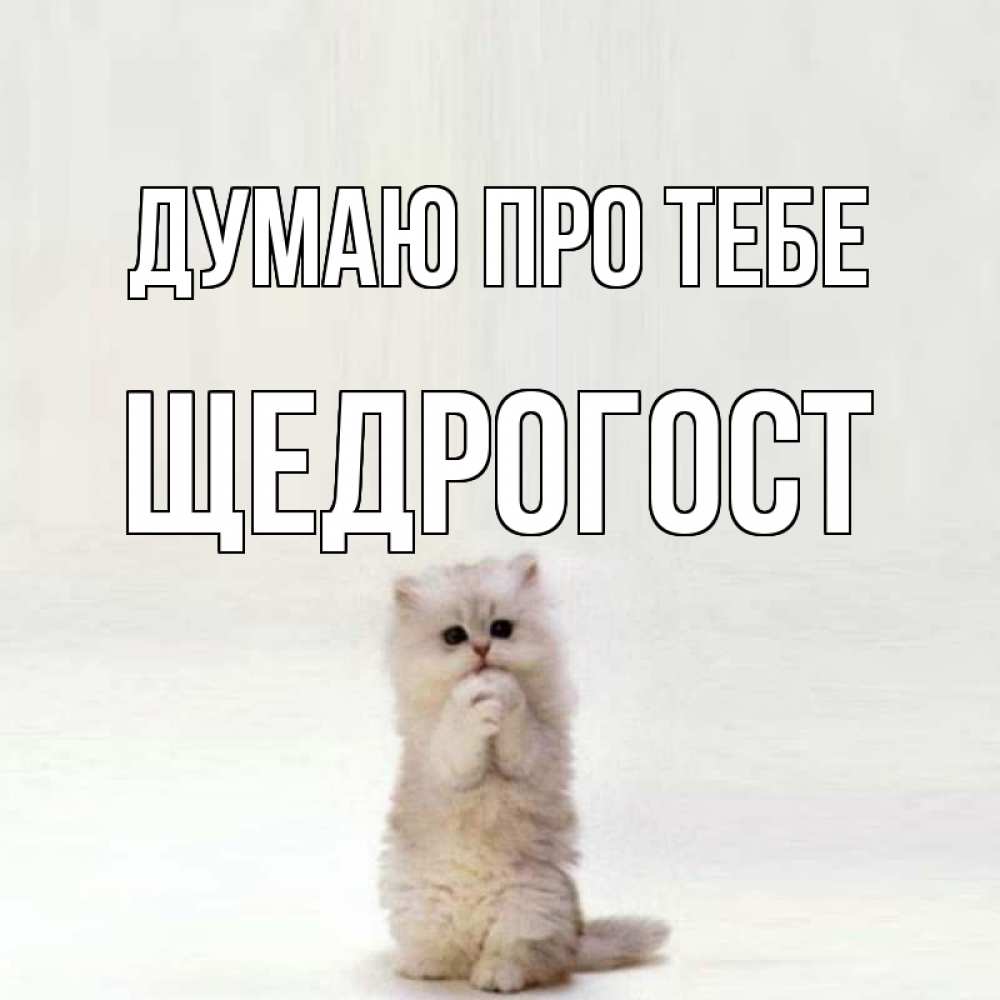Открытка на каждый день з підписом, Щедрогост Думаю про тебе кот стоит на задних лапах Прикольна листівка з побажанням онлайн скачати безкоштовно 