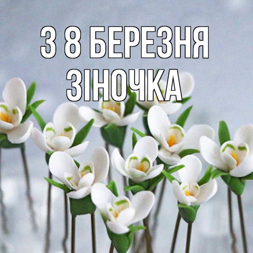 Открытка на каждый день з підписом, Зіночка З 8 БЕРЕЗНЯ весенние цветы Прикольна листівка з побажанням онлайн скачати безкоштовно 