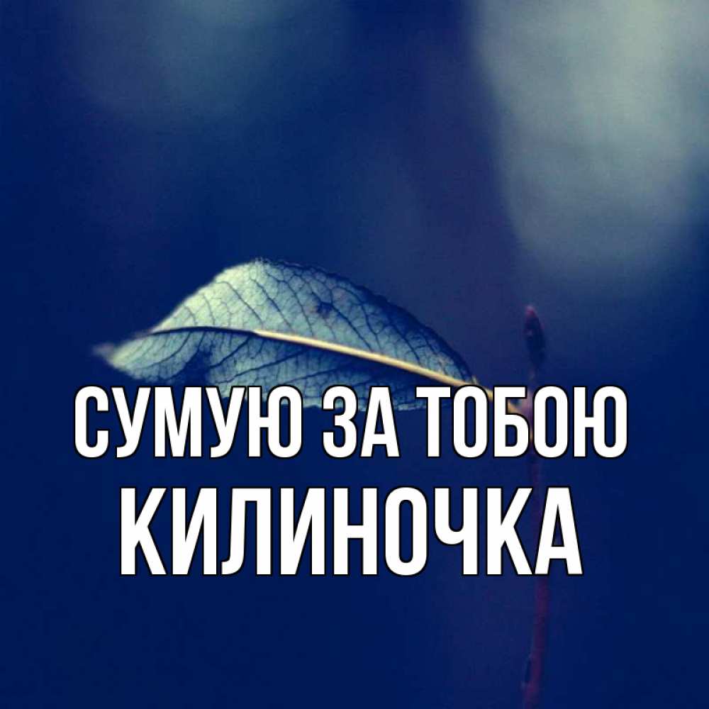 Открытка на каждый день з підписом, Килиночка Сумую за тобою одна ветка 1 Прикольна листівка з побажанням онлайн скачати безкоштовно 