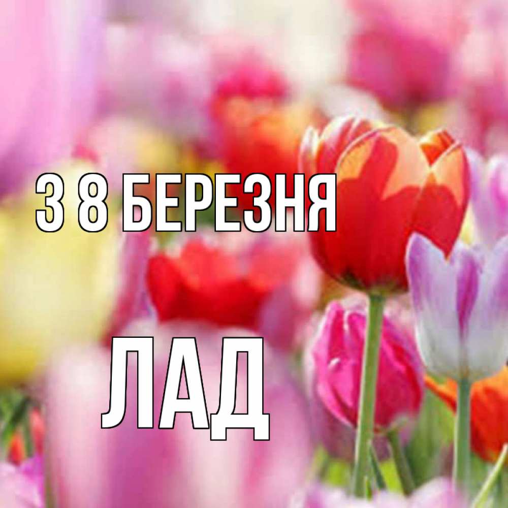Открытка на каждый день з підписом, Лад З 8 БЕРЕЗНЯ на международный женский день 2 Прикольна листівка з побажанням онлайн скачати безкоштовно 